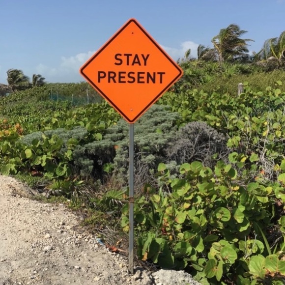 Meet Lily - Picture 5 of 5